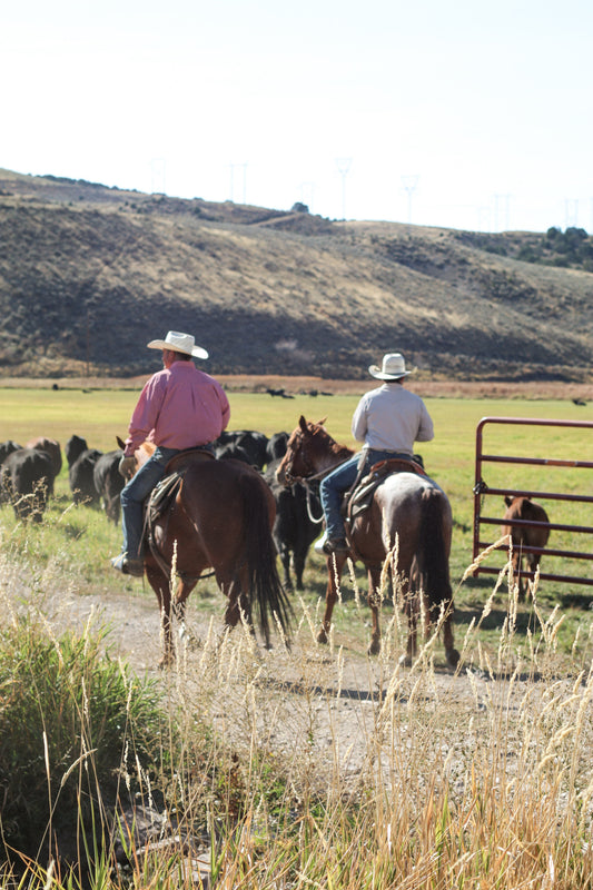 How Beef Quality Begins on the Ranch