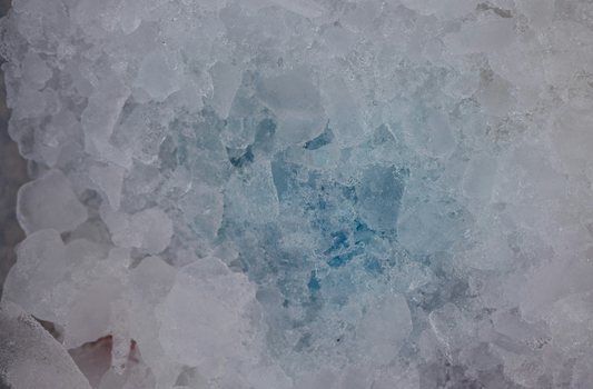 Why Your Freezer Is the Most Underrated Tool for Saving Money on Food