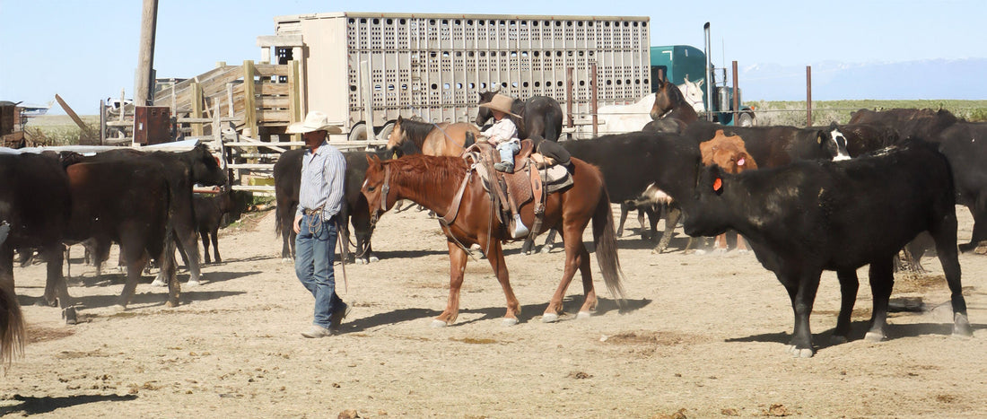 Why Knowing Your Rancher Matters